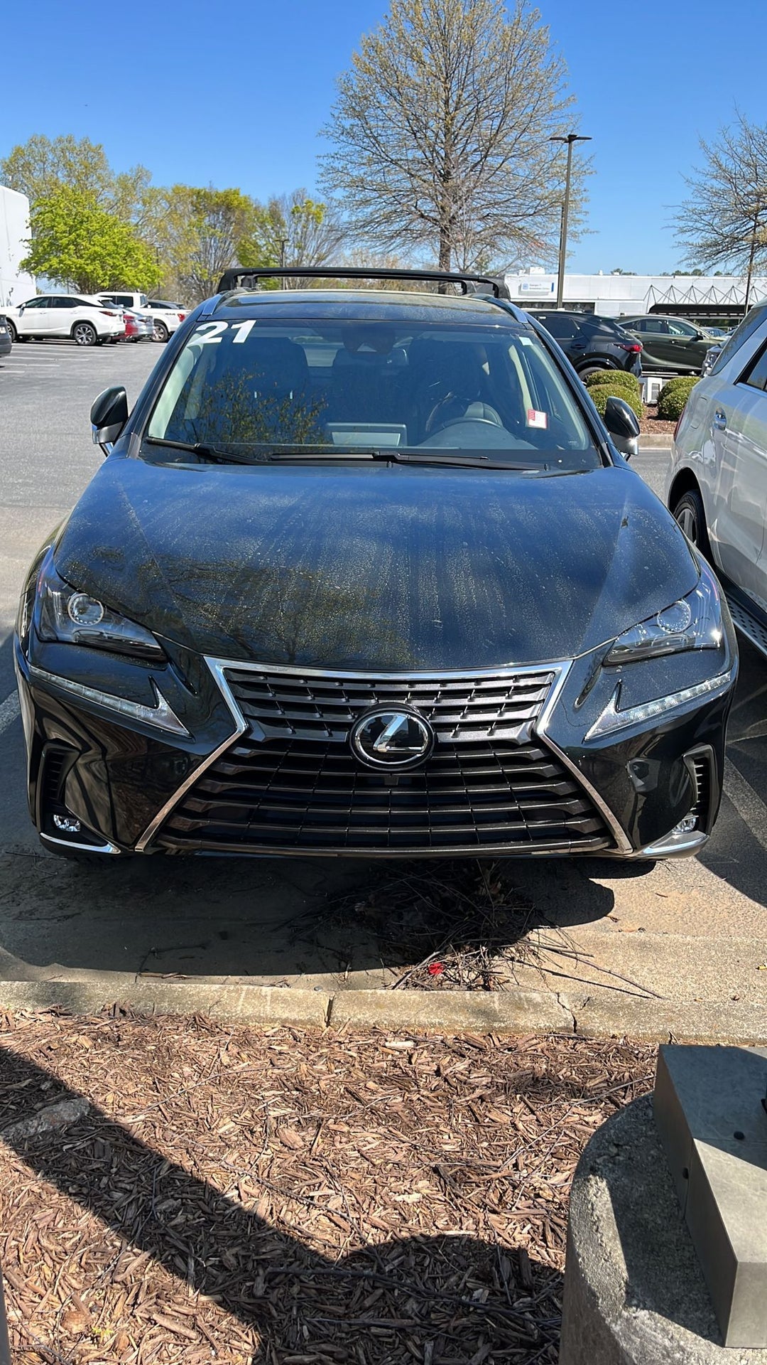Lexus Nx-Series 2015-2021 Portbagaj Taşıyıcı Ara Atkisi - Ara Çubuk Paw Pro 2 Siyah